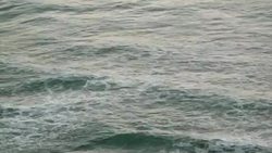 Ocean clean-up News Clip