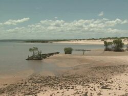 World War 2 landing craft decays on tropical mangrove beach, Australia Stock Footage