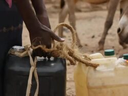 Girl carrying gallons of water to donkey Stock Footage