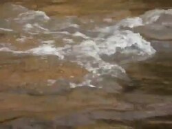  MS Shot of moving water stream / Sedona, Arizona, United States Stock Footage