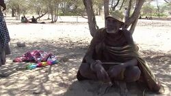 VOICED: Drought threatens traditional Kenyan way of life News Clip