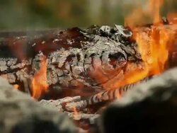 The flames of a campfire burn an old log in ash Stock Footage