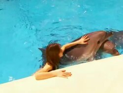 Girl and dolphins Stock Footage