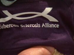 NEWS CAPSULE REPORTER/CHYRON: 10th Annual Comedy For A Cure, Hollywood, CA, 04/03/11 Stock Footage