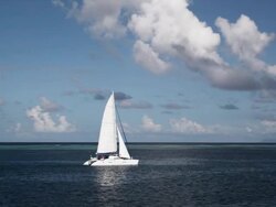 sailboat on the ocean Stock Footage