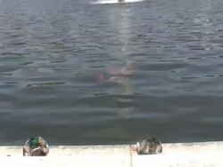 Fountain 9 - HD 1080/60i Stock Footage