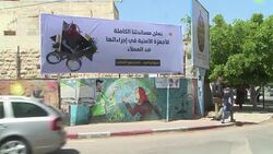 CLEAN : Palestinian Centre for Human Rights denounces Hamas executions News Clip