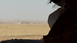 Kurdish Peshmerga troops manning a checkpoint News Clip