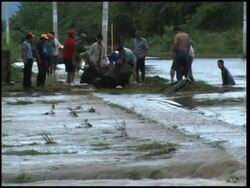 Heavy flooding from tropical storm Gamma kills 11 News Clip