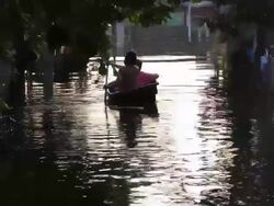 Man rowing boat in flooding area. Stock Footage