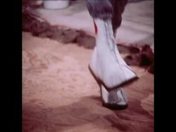 SYND  12-2-73 JOE BUGNER AND MUHAMMAD ALI PREPARE FOR FIGHT IN LAS VEGAS News Clip