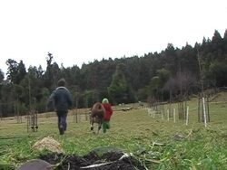 Kids Running Away Stock Footage