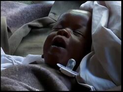 Tens of thousands of children orphaned by Haiti quake, aid groups say News Clip