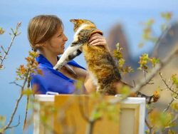 painter girl with a cat Stock Footage