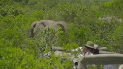 CLEAN : Ellie Goulding new Global Goodwill Ambassador for UN Environment News Clip