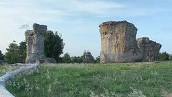 panning: little flower garden in Mo Hin Khao Chaiyaphum Stone Henge of Thailand Stock Footage