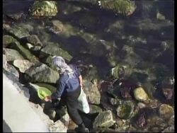 N. Korea/China - Caritas warns of famine risk News Clip