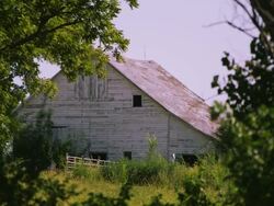 Static view of old white barn through the trees. Stock Footage
