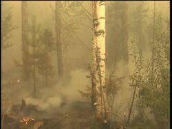 New wildfire seen near nation's top nuclear research centre Instructional Video