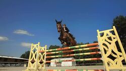 HD Super Slow-Mo: Training A Jump Over Oxer Stock Footage