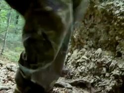 Shooting At Opponent Stock Footage