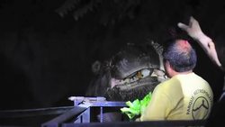 CLEAN: Animal Farm, the best of 2011 News Clip