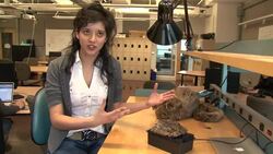 CLEAN : Robotic creature could help those with News Clip