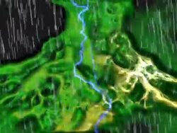 rain forest Stock Footage