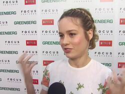 'Greenberg' Premiere Stock Footage