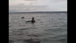 +4:3 AP pictures of Lion Air plane crash site, airline news conference News Clip