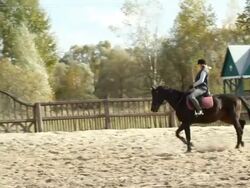 Horseback riding Stock Footage