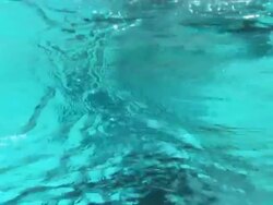 Prince William Diving In Swimming Pool News Clip