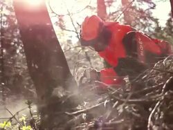 HD: Lumberjack Cutting A Tree Stock Footage