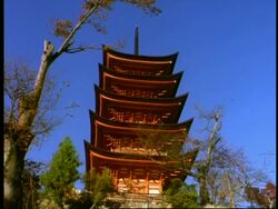 MS Low angle view of 5 storey pagoda building against blue sky, Miya-Jima island, Japan Stock Footage
