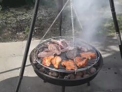 Barbecue grill Stock Footage