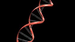 Two sections of DNA strands spiral toward one another and connect. Stock Footage