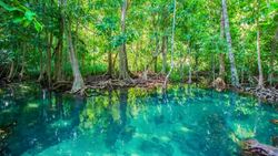 khlong song nam ,Krabri Unseen thailand. Stock Footage