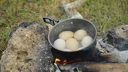 Boiled eggs in an old egg Stock Footage