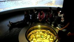 CLEAN : Colombian museum has News Clip