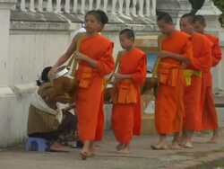 MS Monks collecting alms / Luang Prabang, Laos Stock Footage