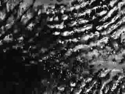 Film Texture with fingerprints PAL/ NTSC Stock Footage