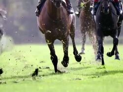 MS SLO MO shot of Horses gallop down home stretch, on hooves / Krefeld, North Rhine Westphalia, Germany  Stock Footage