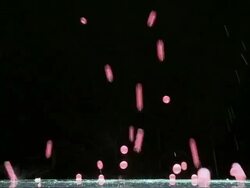 MS Wet Rubber balls bouncing on glass / Sao Paulo, Brazil Stock Footage