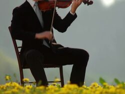 HD: Violinist Inspired By Nature Stock Footage