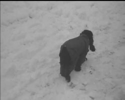 MAKE THE BEST OF IT News Clip