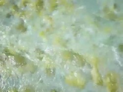 HD: Clean Water In The River Stock Footage