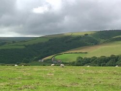 Farmland Stock Footage