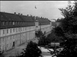 DANISH DEFIANCE - News Clip