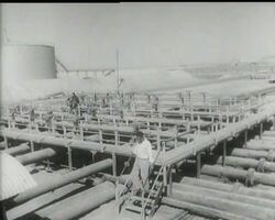 CRITICAL DAYS IN PERSIAN OIL ISSUE News Clip