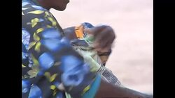 Zambezi National Park background shots News Clip